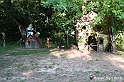 VBS_4935 - Il bosco fatato - Montaldo Roero